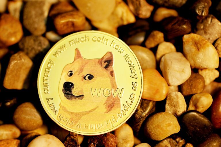 Dogecoin From Unsplash 9.jpg