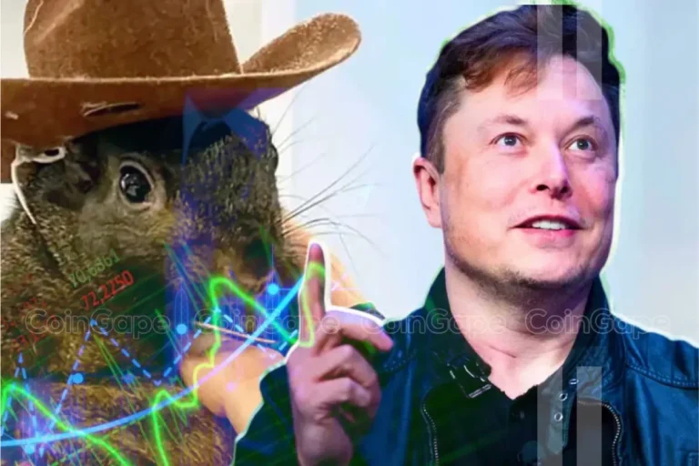 Pnut Price Soars 80 As Elon Musk Shilling Peanut The Squirrel.webp.webp