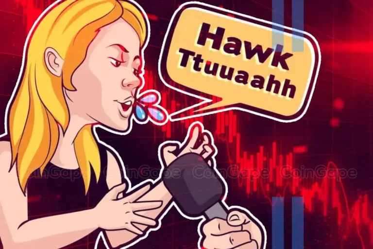 Hawk Tua Girls Hawk Memecoin Skyrocketed And Crashed What Happened In 20 Mins.webp.webp