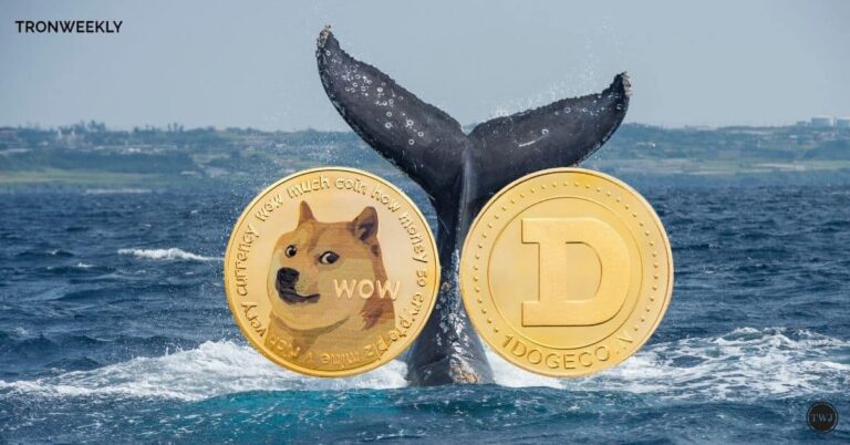 Dogecoin 4.jpg