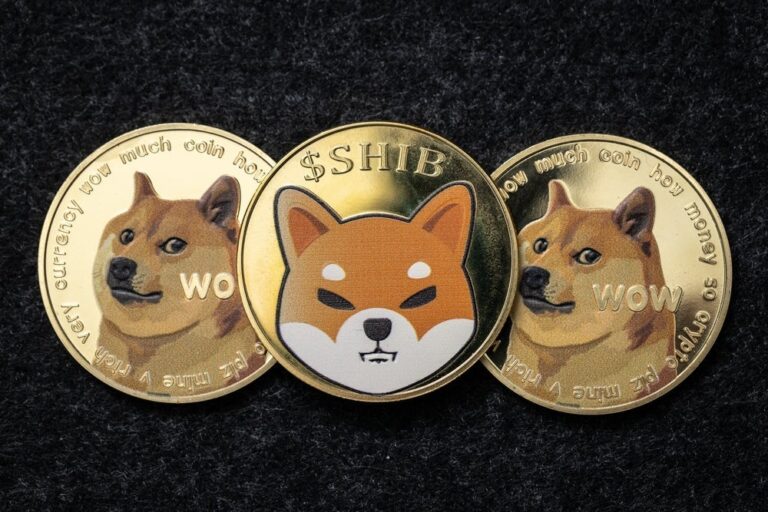 From Shiba To Dogecoin Here Are The Bes.jpeg