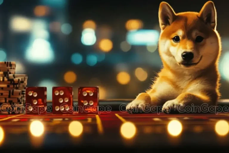 Shiba Inu Price Market Sentiment Could Change But Shib Whales Are Searching For Big Returns With Rol.webp